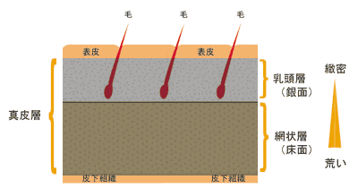 E-comfortポニースキンレザー 組成図