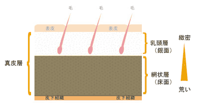 E-comfortスタンダードレザー 組成図