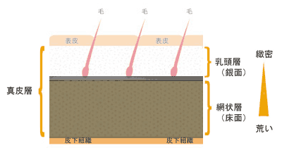 E-comfortデラックスレザー 組成図